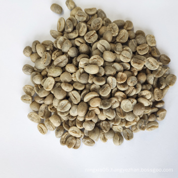 Suppliers Coffee Beans with Export Arabica Green Coffee Beans